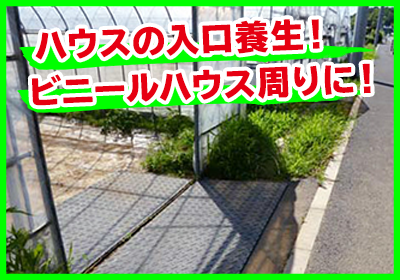 ���E�_�n�E�I�n��ƂɁI�_���E���ܑ����H�ɁI�炭�炭�΂�A�W�����C�g�V���[�Y